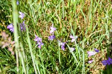 DSC_0172.JPG DSC_0172.JPG