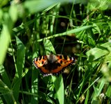 DSC_0145.JPG DSC_0145.JPG
