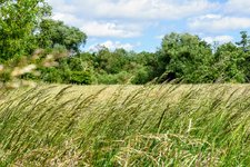 DSC_0199.JPG DSC_0199.JPG