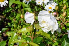 DSC_0049.JPG
