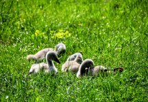 DSC_0040.JPG DSC_0040.JPG
