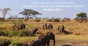 psalmen-133-1.jpg