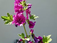 klein_ - 1 (235).jpg