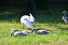 DSC_0091.JPG DSC_0091.JPG