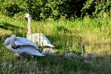 DSC_0039.JPG DSC_0039.JPG