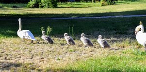 DSC_0074.JPG DSC_0074.JPG