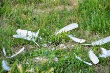 DSC_0026.JPG DSC_0026.JPG