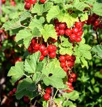 DSC_0109.JPG DSC_0109.JPG
