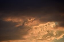 DSC_0012.JPG