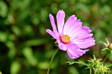 DSC_0079.JPG DSC_0079.JPG