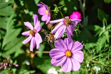 DSC_0077.JPG DSC_0077.JPG