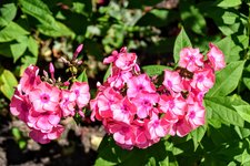 DSC_0066.JPG DSC_0066.JPG