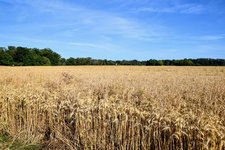 DSC_0347.JPG DSC_0347.JPG