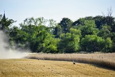 DSC_0423.JPG DSC_0423.JPG