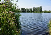 DSC_0055.JPG DSC_0055.JPG