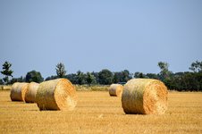 DSC_0073.JPG