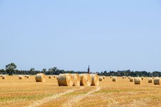 DSC_0066.JPG