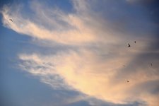 DSC_0015.JPG