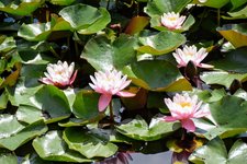 DSC_0076.JPG