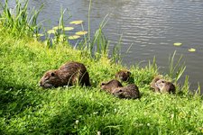 DSC_0327.JPG