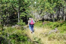 DSC_0078.JPG DSC_0078.JPG