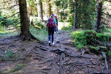 DSC_0168.JPG DSC_0168.JPG