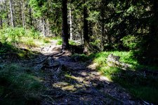 DSC_0174.JPG
