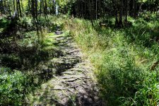 DSC_0062 (1).JPG