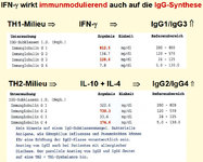 IMD-Berlin - TH1 TH2 Wirkung auf Immunglobuline.jpg