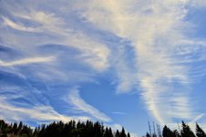 DSC_0291.JPG