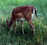 IMG_4997.JPG IMG_4997.JPG