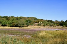 DSC_0286.JPG DSC_0286.JPG