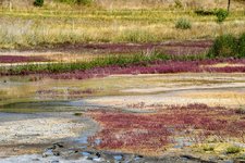 DSC_0311.JPG DSC_0311.JPG
