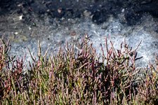 DSC_0151.JPG DSC_0151.JPG