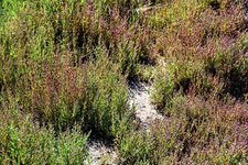 DSC_0143.JPG DSC_0143.JPG