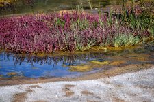 DSC_0330.JPG DSC_0330.JPG