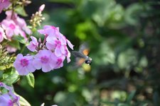 DSC_0041.JPG DSC_0041.JPG