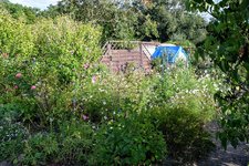 DSC_0077.JPG DSC_0077.JPG