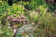 DSC_0031.JPG DSC_0031.JPG