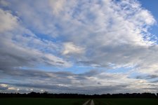 DSC_0460.JPG