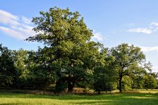 DSC_0288.JPG DSC_0288.JPG