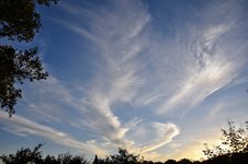 DSC_0304.JPG