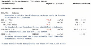 TH1-TH2-Immunbalance, TGF-ß, VEGF.jpg