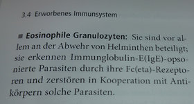Eosinophile_Funktion.jpg Eosinophile_Funktion.jpg