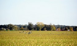 DSC_0664 (1).JPG
