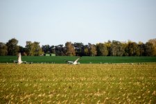 DSC_0632.JPG DSC_0632.JPG