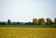DSC_0666.JPG DSC_0666.JPG