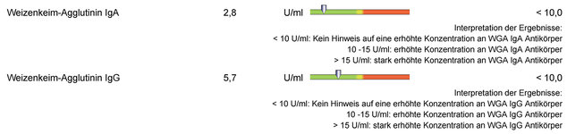 Weizenkeimagglutinin-IgA-IgG.jpg Weizenkeimagglutinin-IgA-IgG.jpg