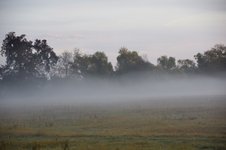 DSC_0011.JPG