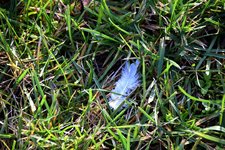 DSC_0140.JPG